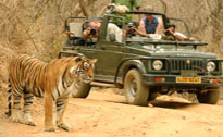 Ranthambore Tour